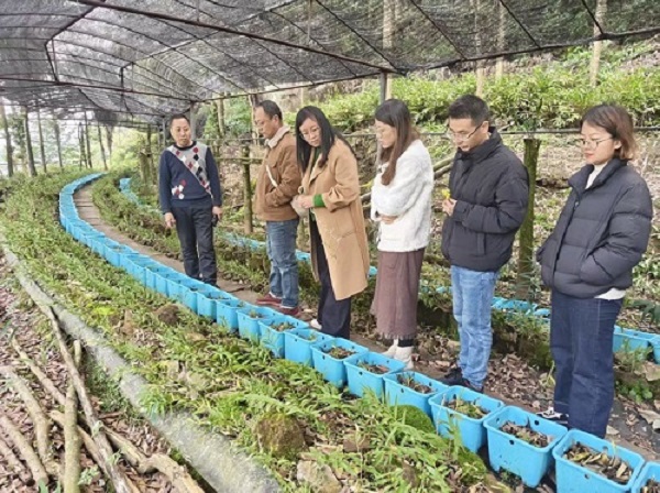 图片1.jpg 图片1.jpg