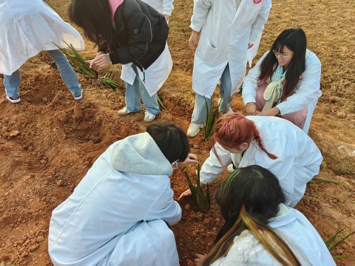 图片3.jpg 图片3.jpg