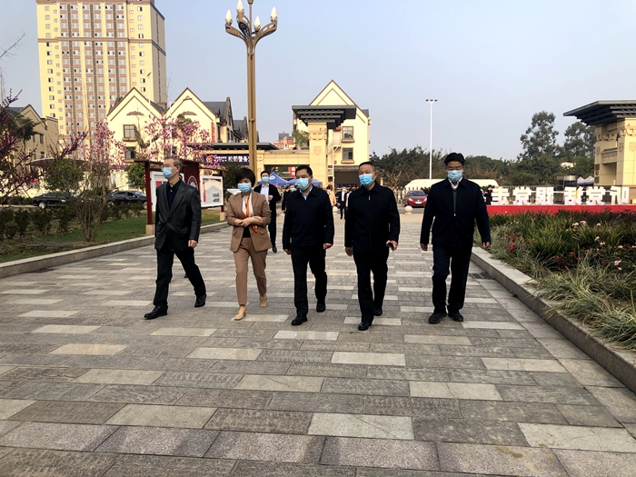 县领导检查1.jpg