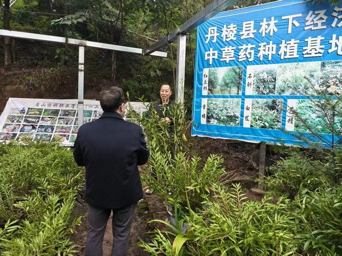 0075526675778541f207ec51d2008b3b.jpg 0075526675778541f207ec51d2008b3b.jpg