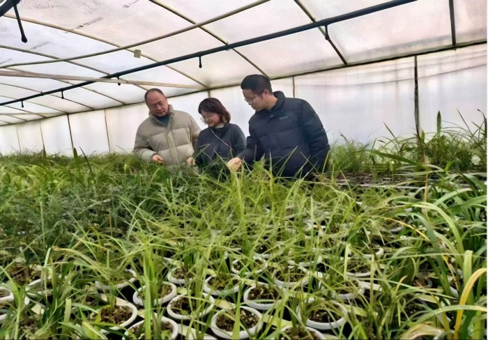 86fdf2c2edad6e03a3849fef61739572.jpg 86fdf2c2edad6e03a3849fef61739572.jpg