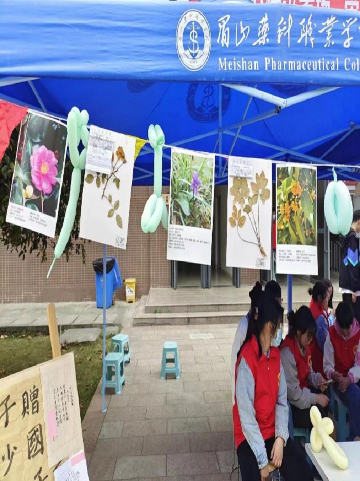 图片1.png 图片1.png