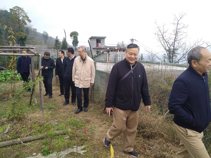 考察村产业.jpg 考察村产业.jpg