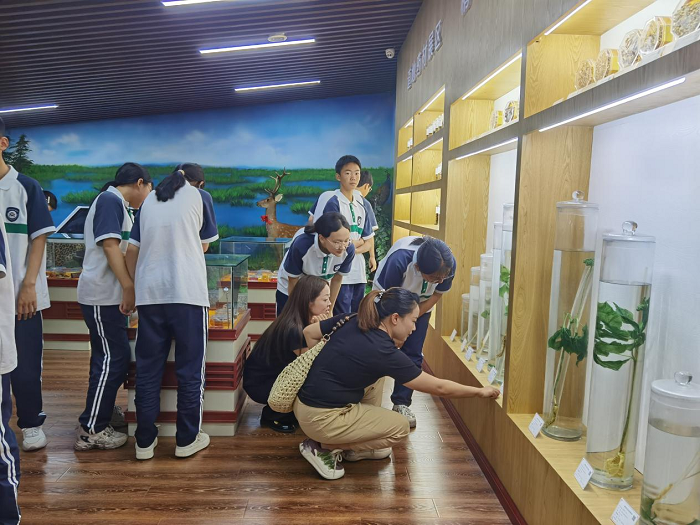 图片3.png 图片3.png