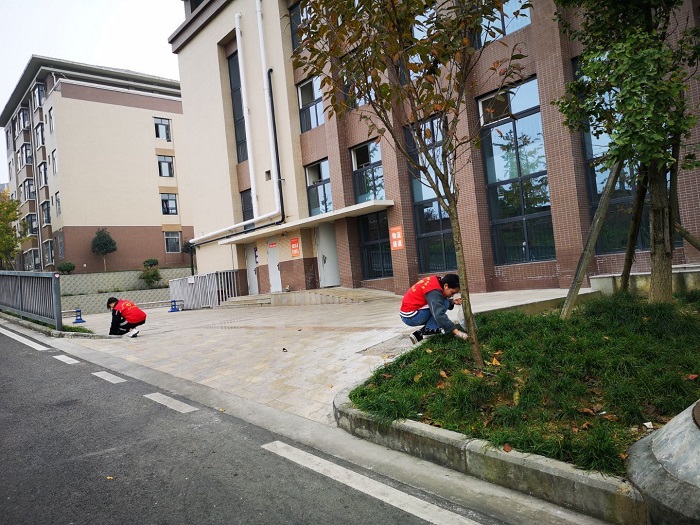 QQ图片20201113174151.jpg