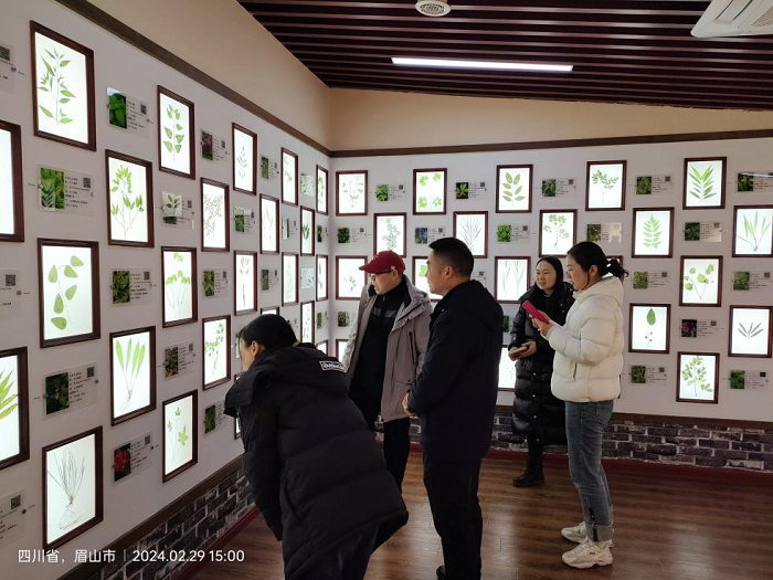 图片1.png 图片1.png