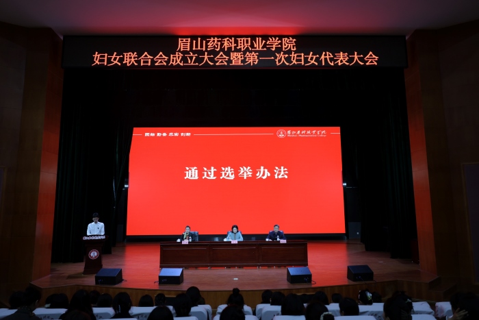 通过选举办法.JPG 通过选举办法.JPG