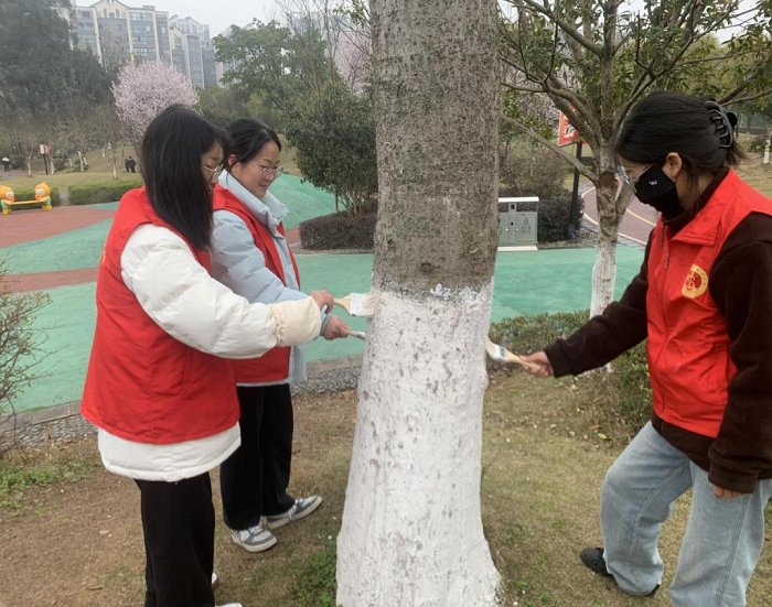 图片1.png 图片1.png
