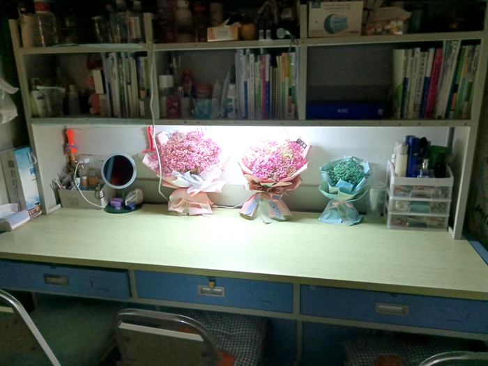 文化节7.png 文化节7.png