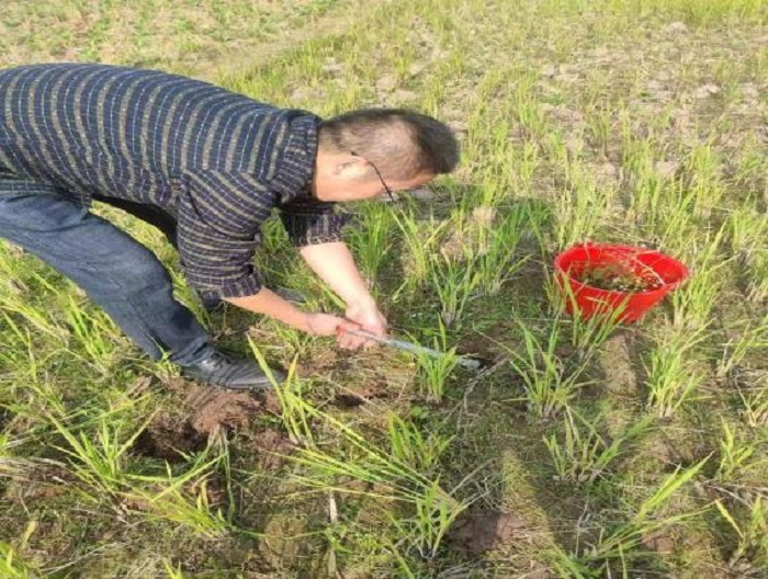 图片6.jpg 图片6.jpg