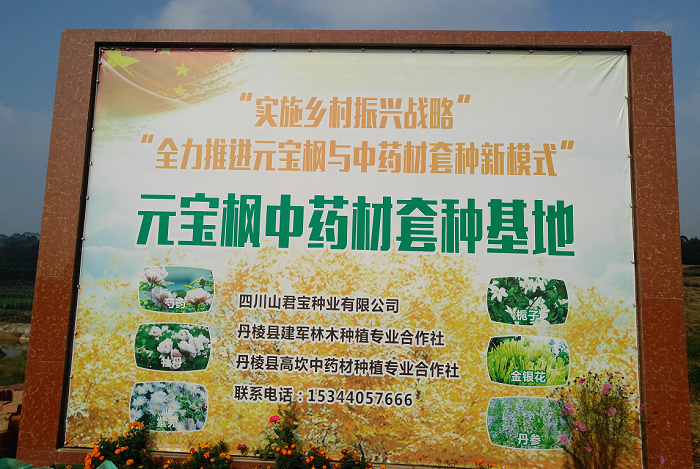 图片1.png 图片1.png
