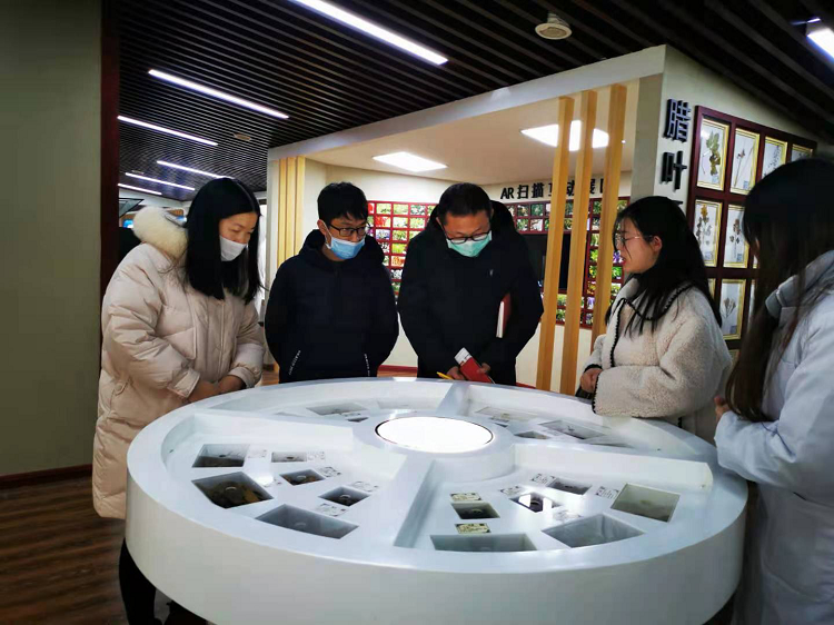 图片5.png