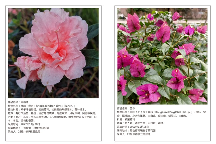 C:\Users\Administrator\Desktop\图片2.jpg C:\Users\Administrator\Desktop\图片2.jpg