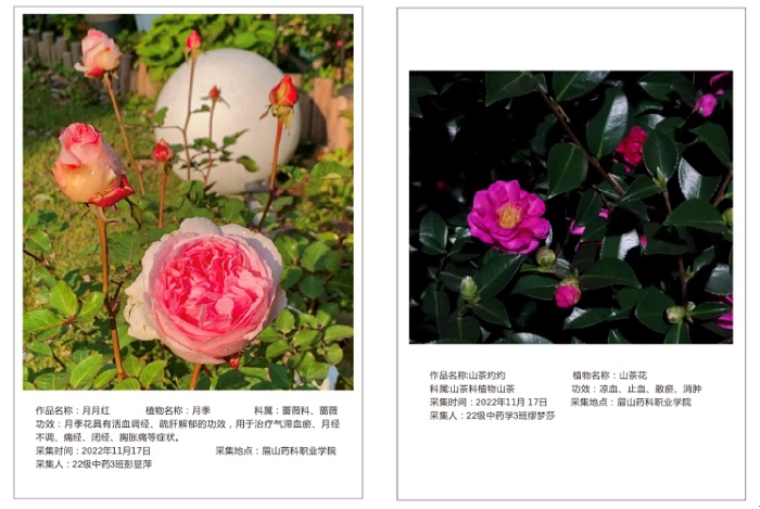 C:\Users\Administrator\Desktop\图片1.jpg C:\Users\Administrator\Desktop\图片1.jpg