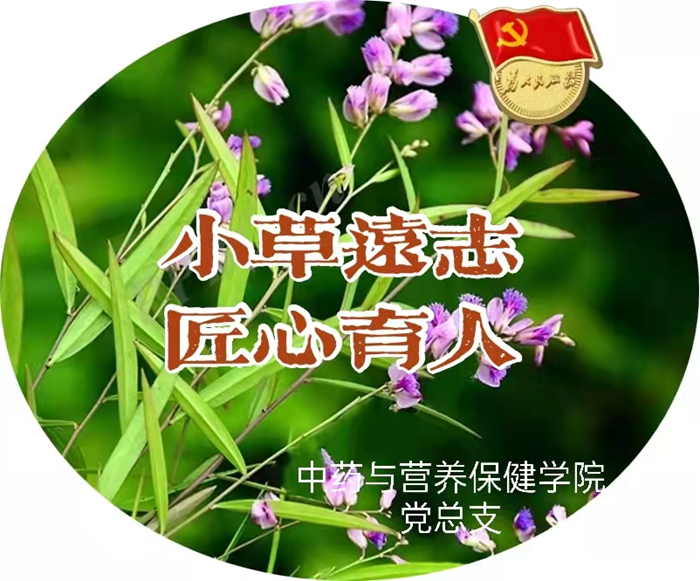 图片1 (3).png 图片1 (3).png