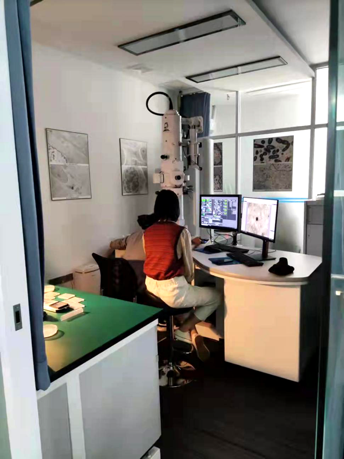 C:\Users\remoteapp\Pictures\医技学院\参观里来2.png C:\Users\remoteapp\Pictures\医技学院\参观里来2.png