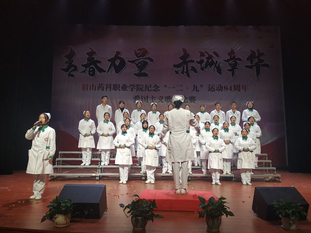 护理学院《我的中国心》.jpg 护理学院《我的中国心》.jpg