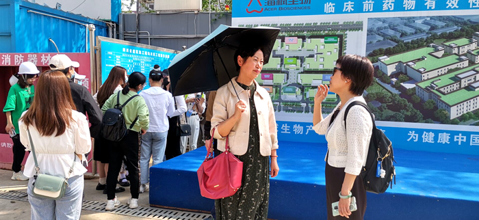 海枫2.png 海枫2.png