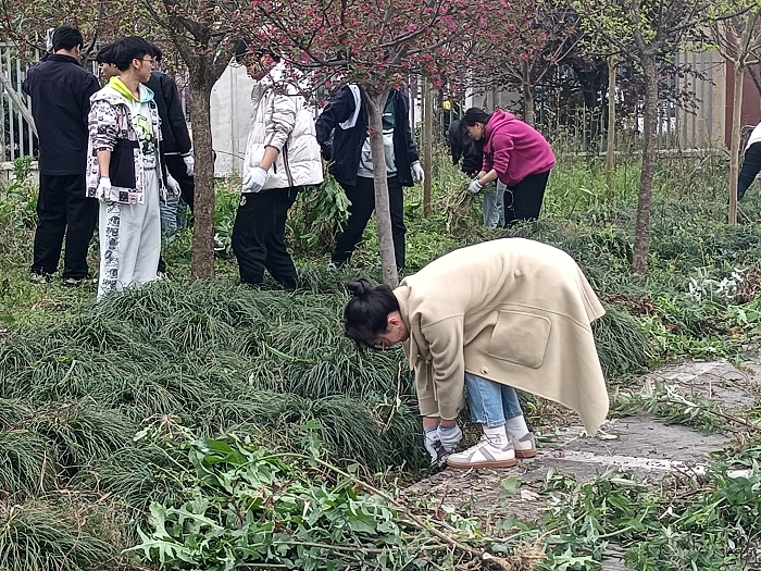 图片5.png 图片5.png