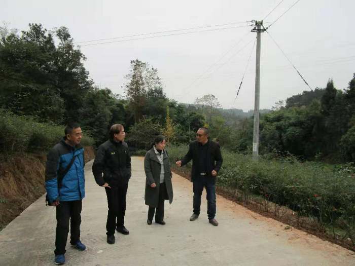 图4 中药学院教职工团队参观药材特供基地.jpg 图4 中药学院教职工团队参观药材特供基地.jpg