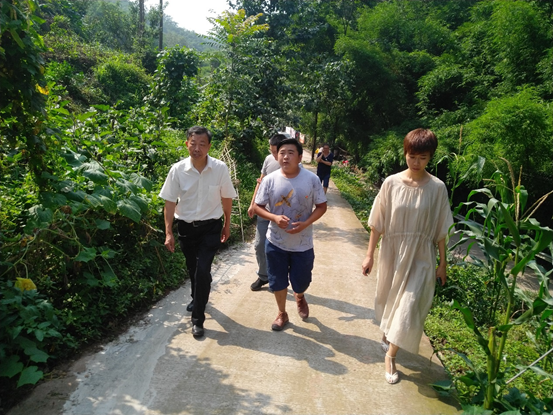 图为调研组与顺龙乡种植户进行交流.jpg 图为调研组与顺龙乡种植户进行交流.jpg