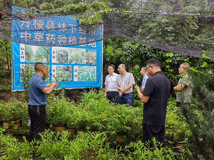 图片4.png 图片4.png